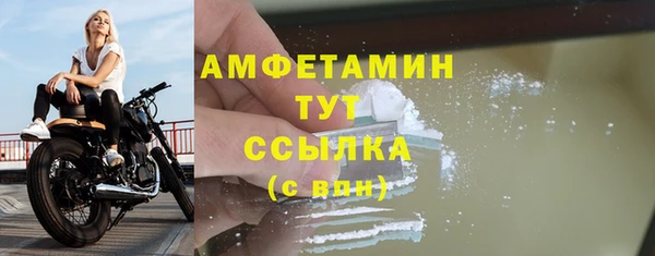 молекула духа Карпинск