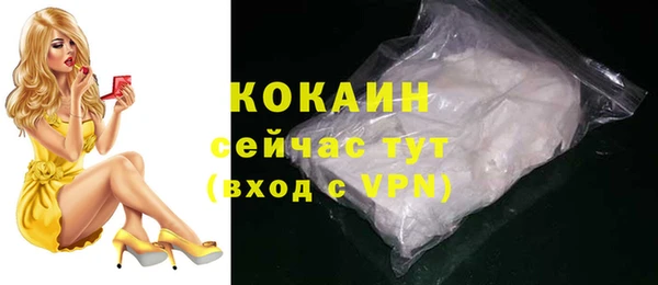 молекула духа Карпинск