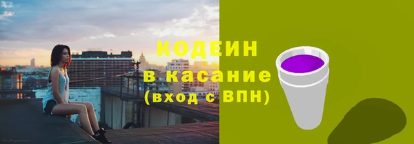 молекула духа Карпинск