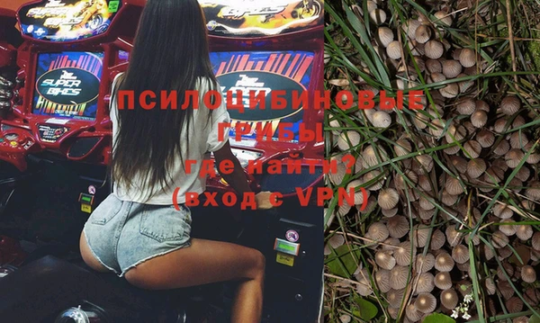 молекула духа Карпинск