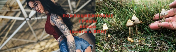 дурь Касимов