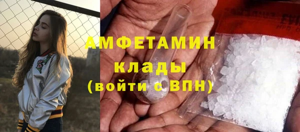 молекула духа Карпинск